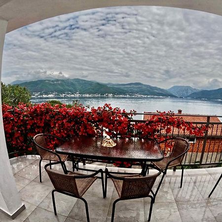 Apartments Obradovic Krasići Εξωτερικό φωτογραφία