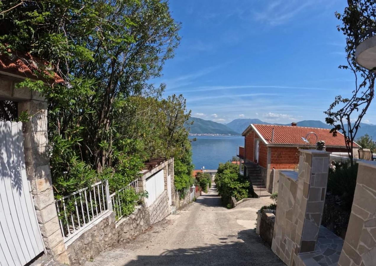 Apartments Obradovic Krasići Εξωτερικό φωτογραφία