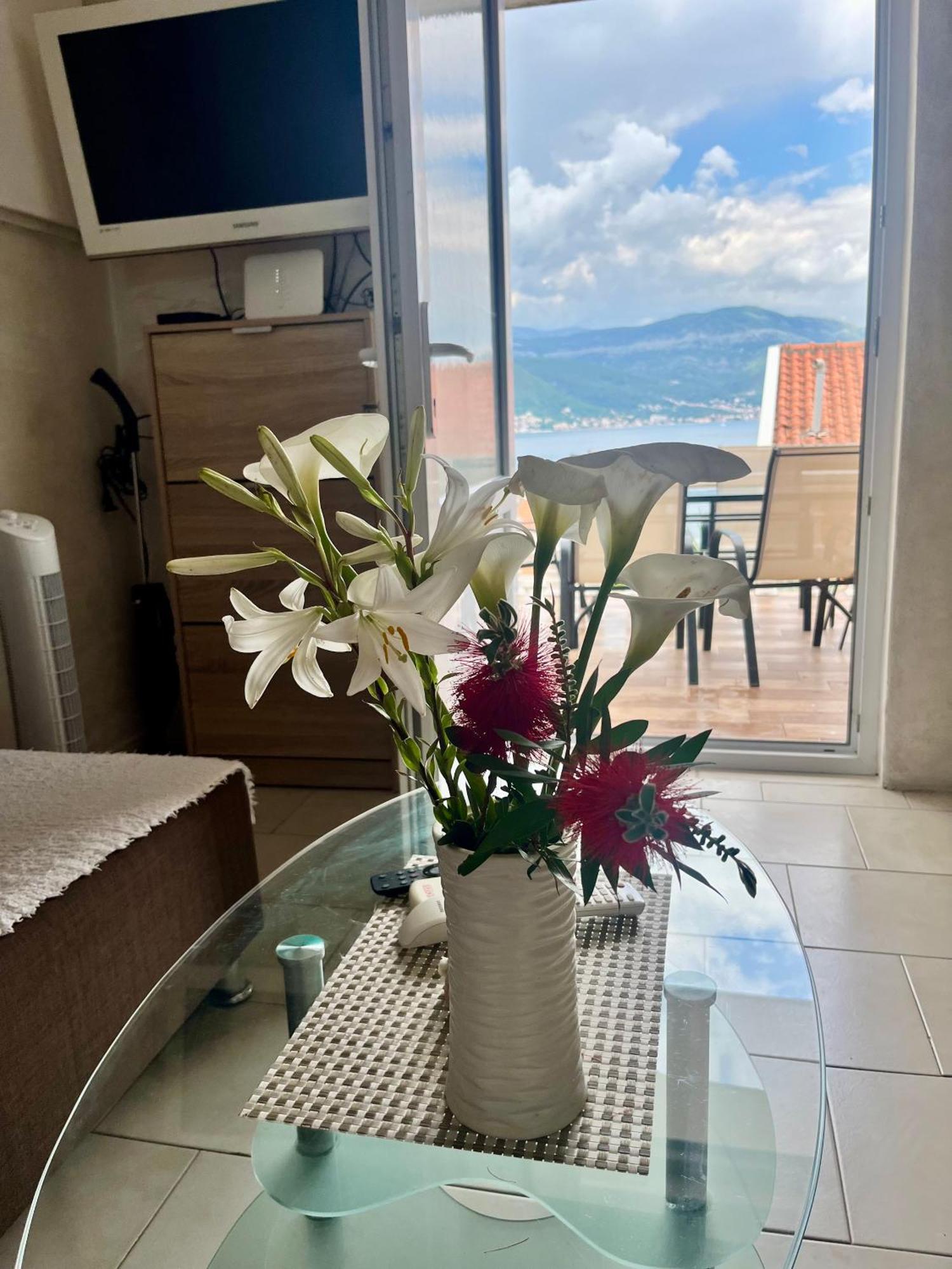Apartments Obradovic Krasići Δωμάτιο φωτογραφία